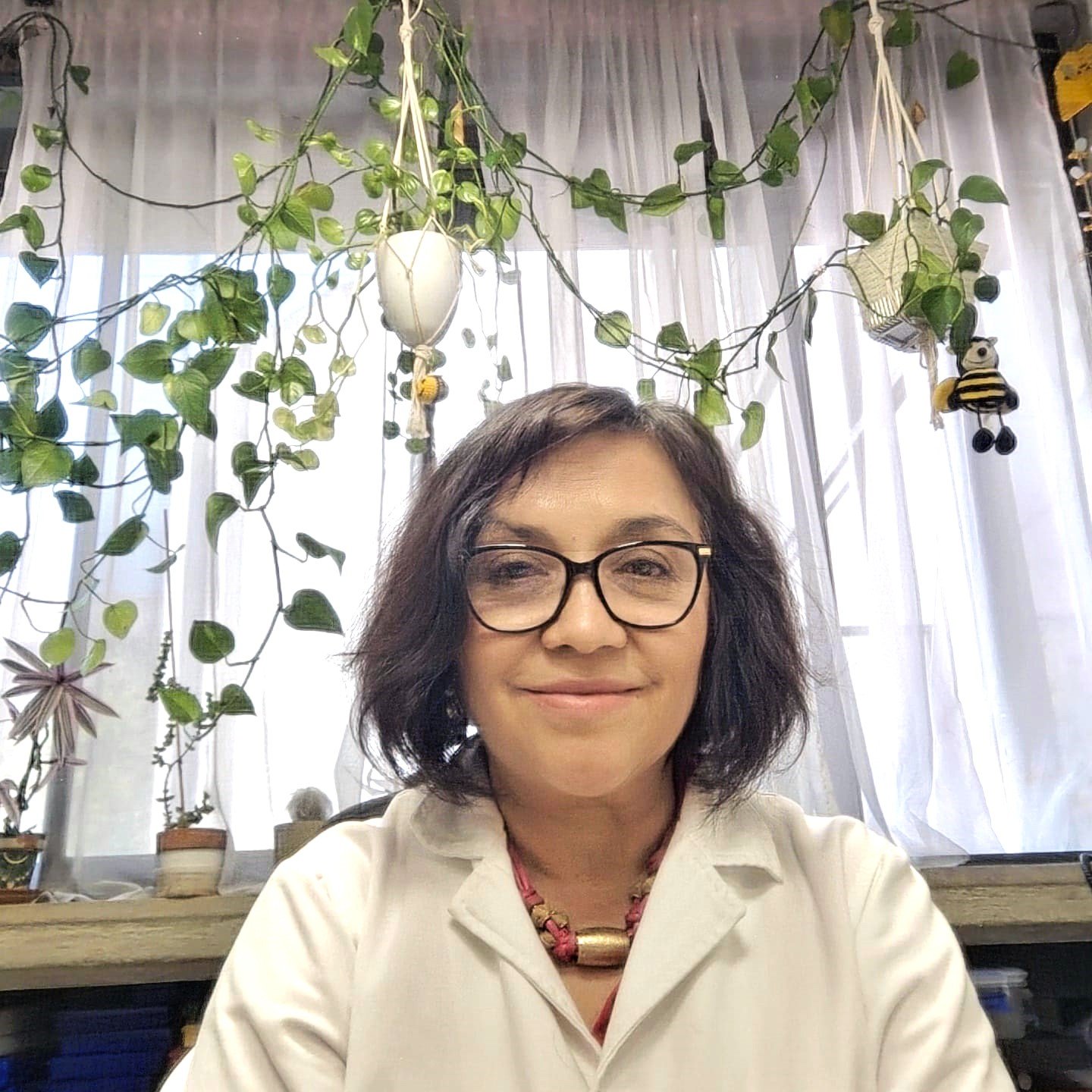 Secretaria Técnica