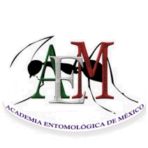 AEM
