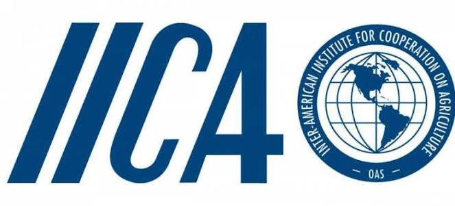 IICA