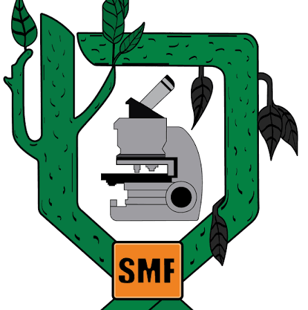 SMF